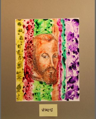 Vesalius (1514-1564)